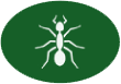 Pest Control and Extermination Services in Ventura CA