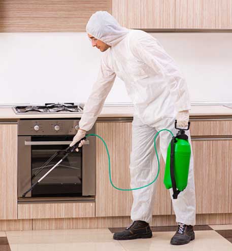 Pest Control and Extermination Services in Ventura CA